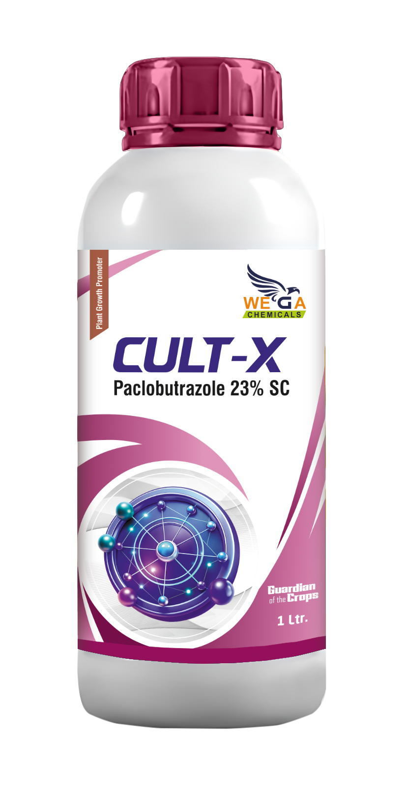 CULT-X
