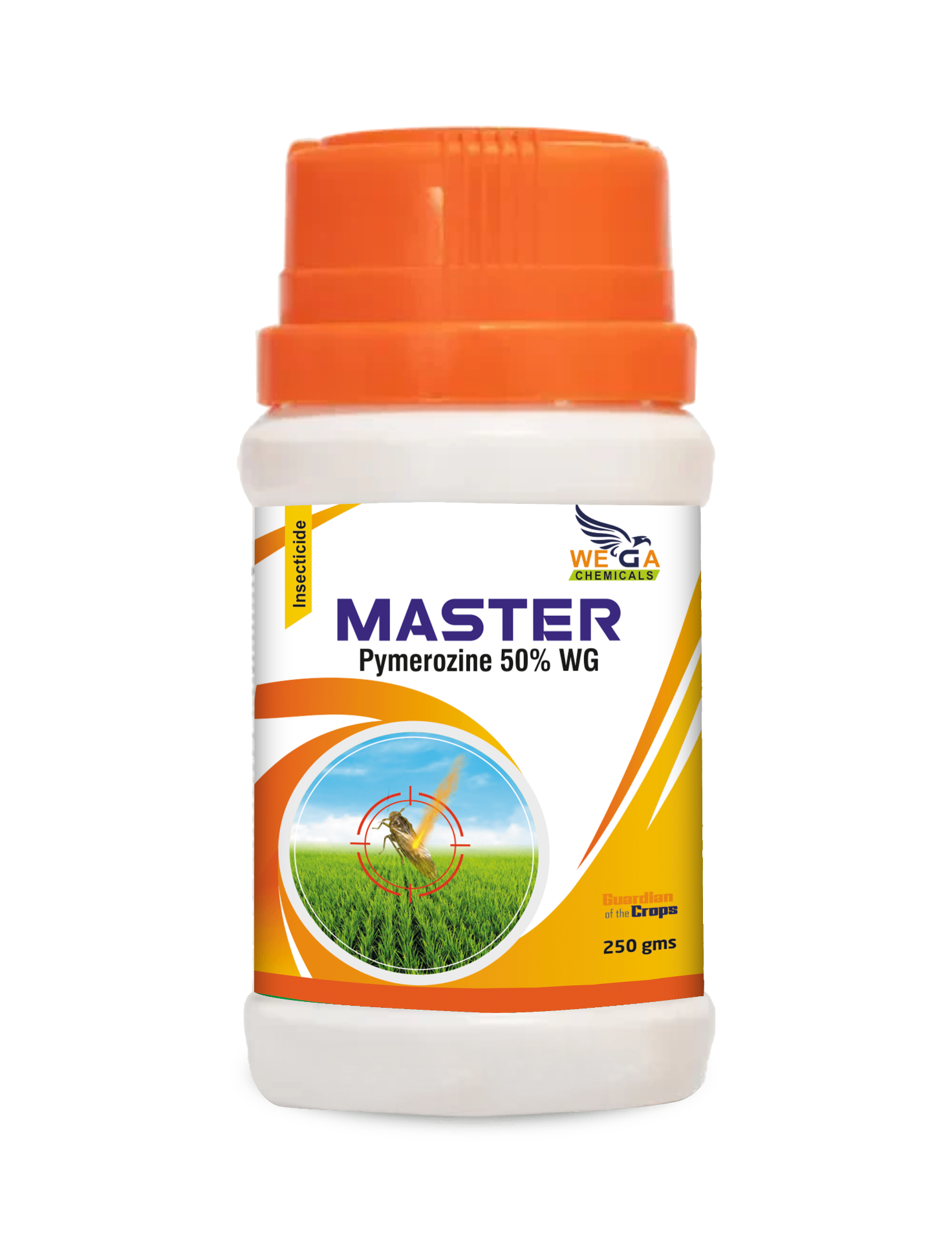 MASTER