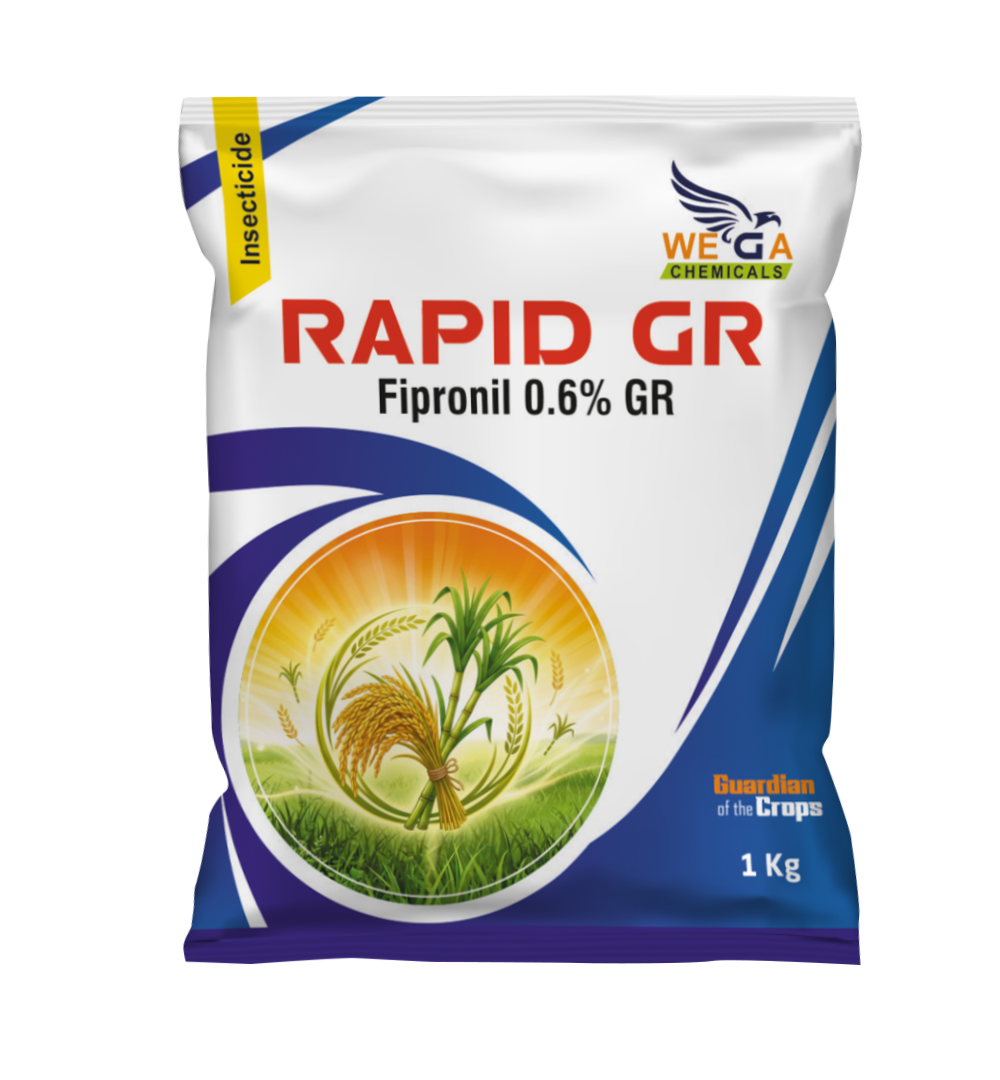 RAPID GR