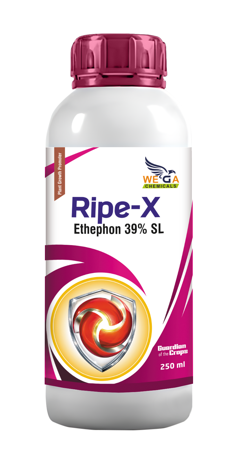 RIPE X
