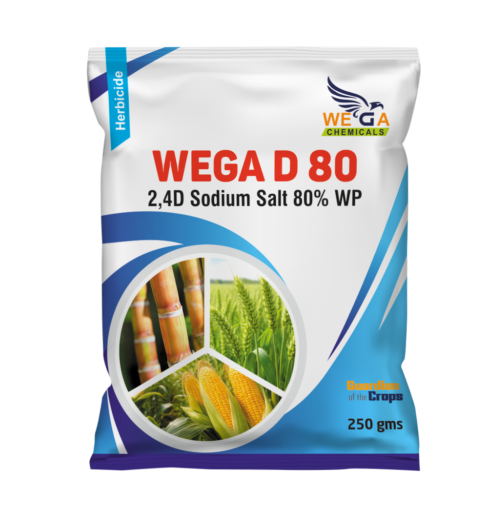 WEGA D 80